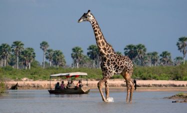 2 Day Safari to Selous Game Reserve from Zanzibar
